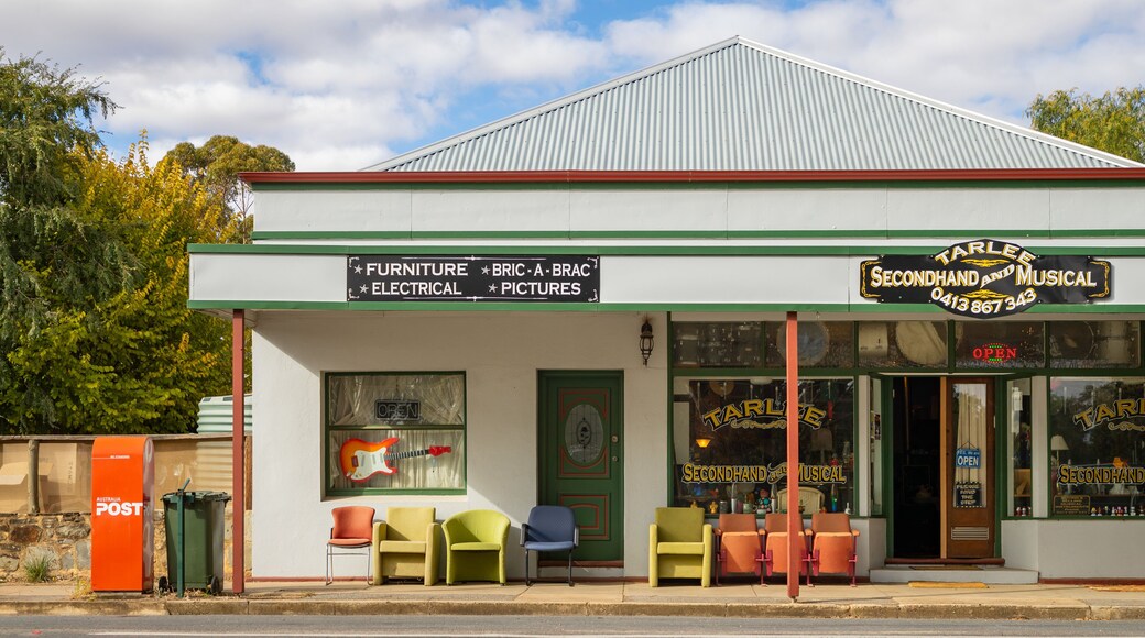 Tarlee featuring a small town or village