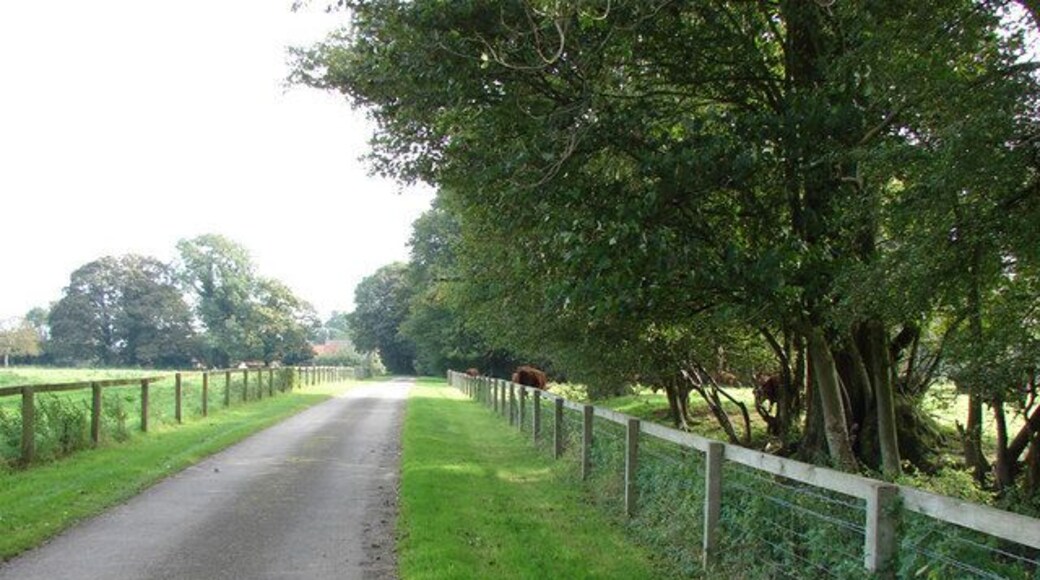 Entrance to Home Farm & West Acre Gardens Home farm is at the end of the drive on the left; High House grounds are on the right.