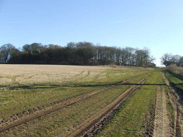 Blakeneyhill Plantation This hill is marked on the 1:25:000 O.S. map as Blakeneyhill Plantation near to West Acre Norfolk.