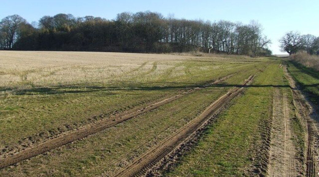 Blakeneyhill Plantation This hill is marked on the 1:25:000 O.S. map as Blakeneyhill Plantation near to West Acre Norfolk.