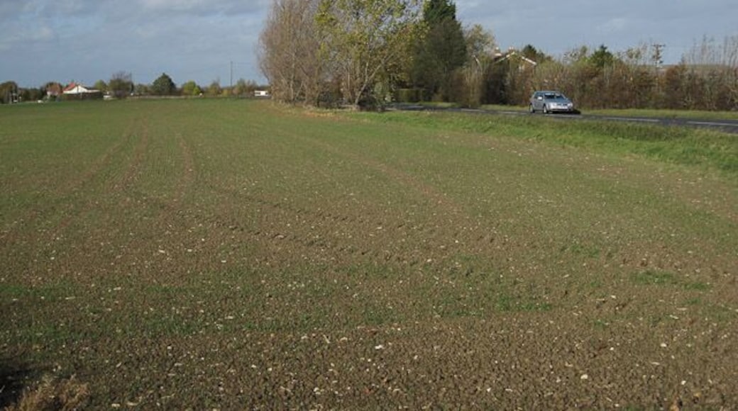 Ely Road From the end of Fox's Drove.