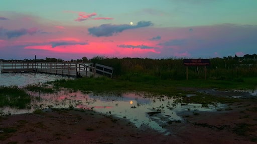 Beautiful moonrise over the lake.