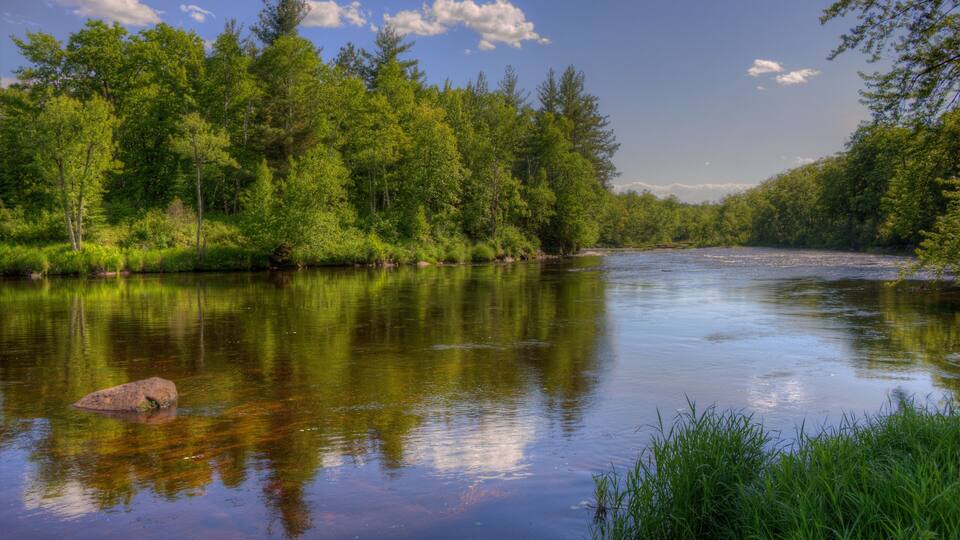 A calm river surrounded by dense green forest and a clear blue sky.