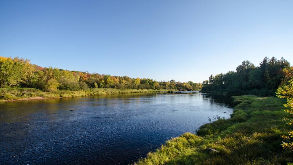 A calm river surrounded by lush greenery and trees with autumn foliage.