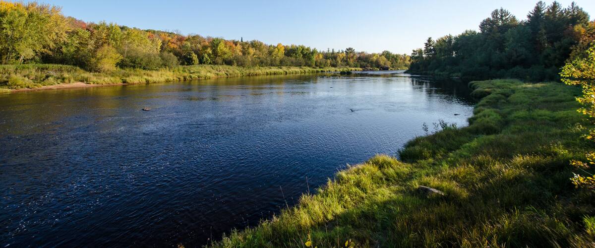 A calm river surrounded by lush greenery and trees with autumn foliage.