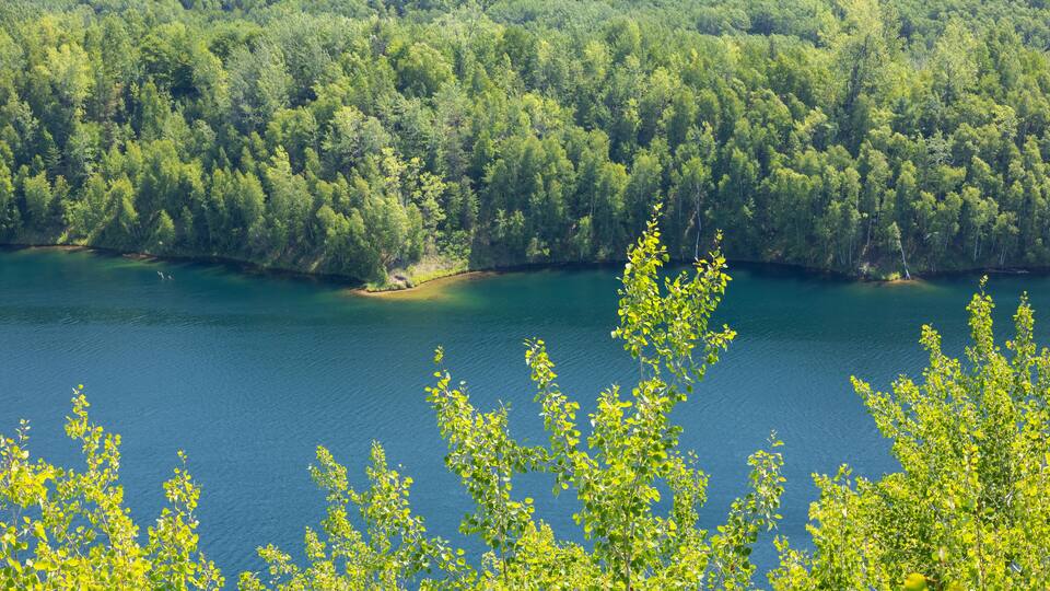 A dense forested area with a calm lake.