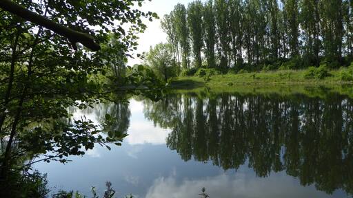 Site naturel du Marais des crĂȘtes d' Athies Pas-de-Calais .- Nord-Pas-de-Calais-Picardie