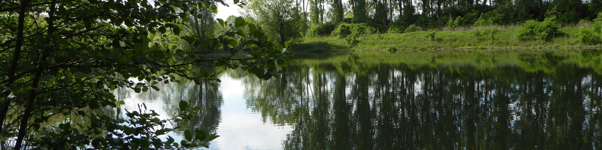 A calm lake surrounded by dense trees and greenery.
