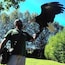 A person holding a bird of prey.
