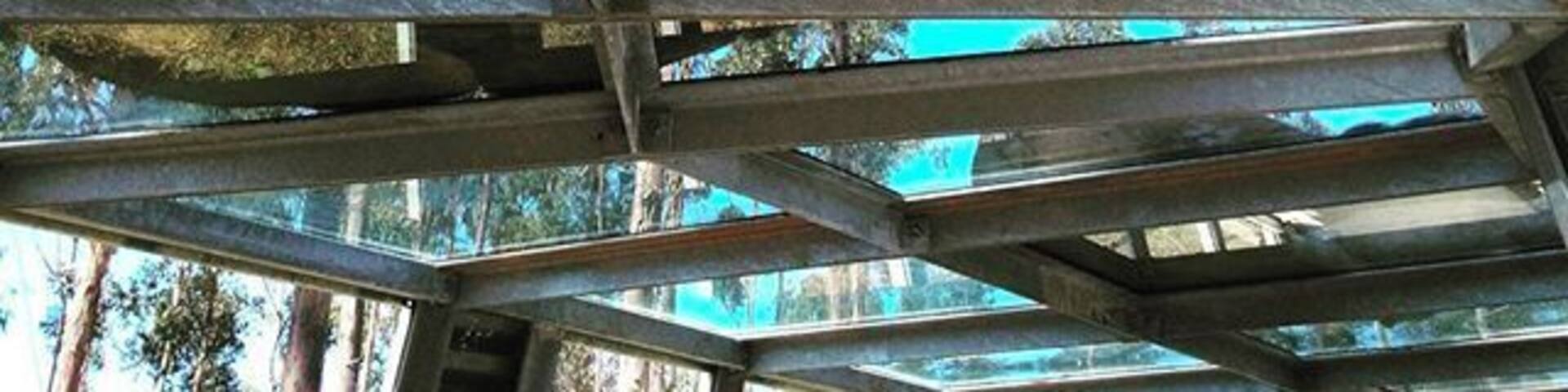 The mighty one 👌 can I take you home??? 🐾 #zoo #zoosantoinacio #zoosantoinácio #animal #animals #petstagram #petsagram #photooftheday #lions #lion #animallovers #kingofthejungle