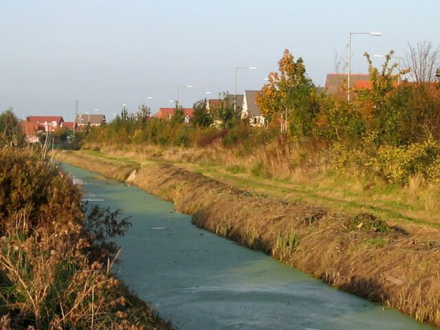Nature reserve alongside Homberg Way Separating Bridgwater and Wembdon Village