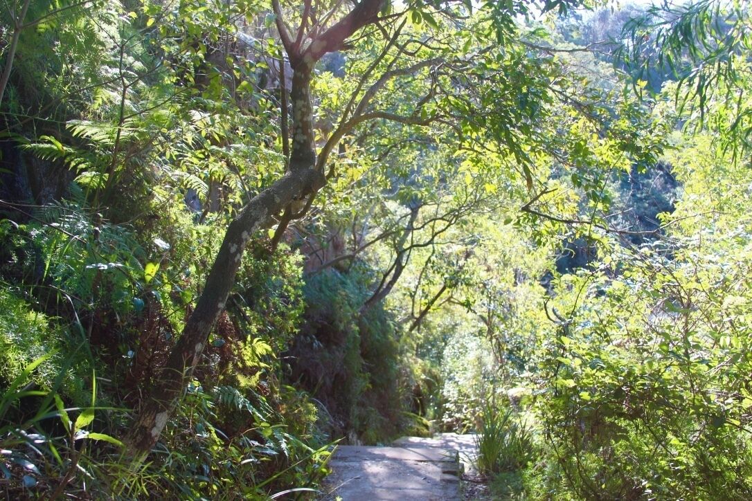 Amazing walk from Spit Bridge to Manly, its a 10 km with lots of stairs and amazing views. Definitely a must if you're in the area!