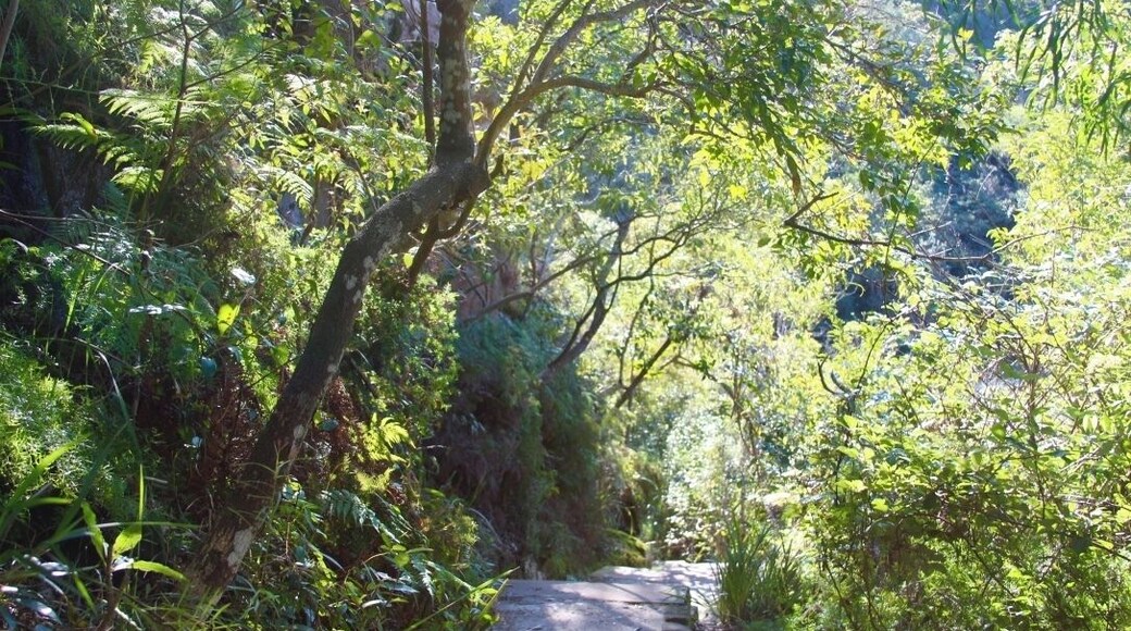 Amazing walk from Spit Bridge to Manly, its a 10 km with lots of stairs and amazing views. Definitely a must if you're in the area!