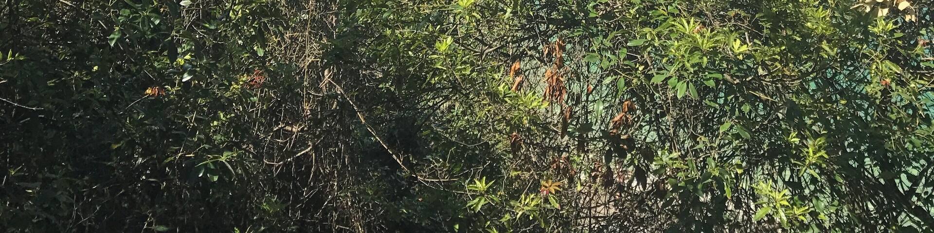 When the walking views are this good - get walking! Just don’t forget your camera...! #LifeAtExpedia