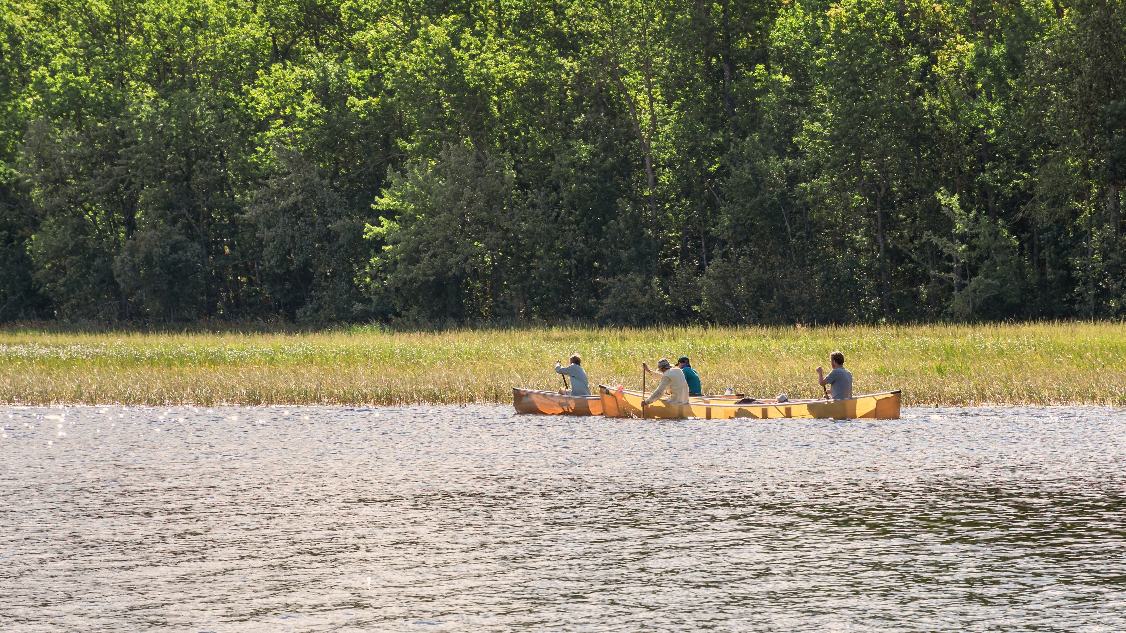 People are enjoying fishing and boating on a sunny day on Crane Lake, Voyageurs National Park, Minnesota