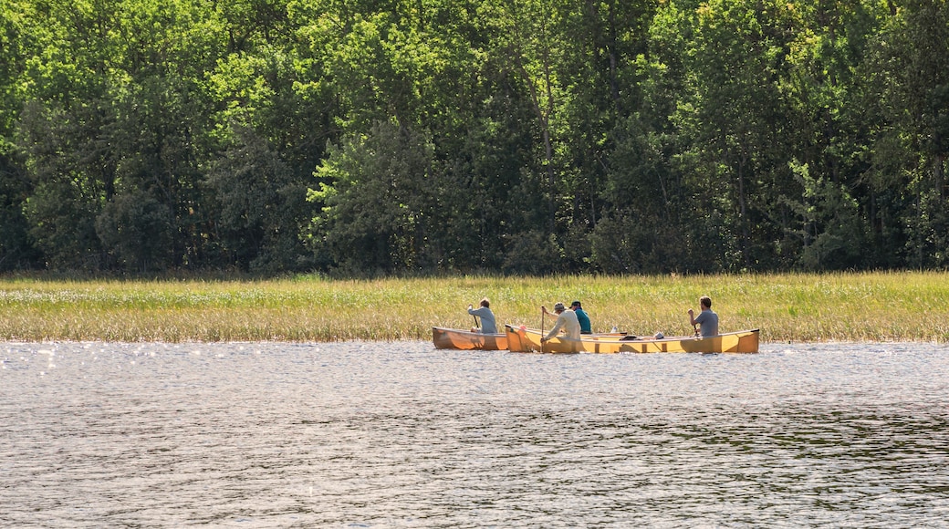 People are enjoying fishing and boating on a sunny day on Crane Lake, Voyageurs National Park, Minnesota