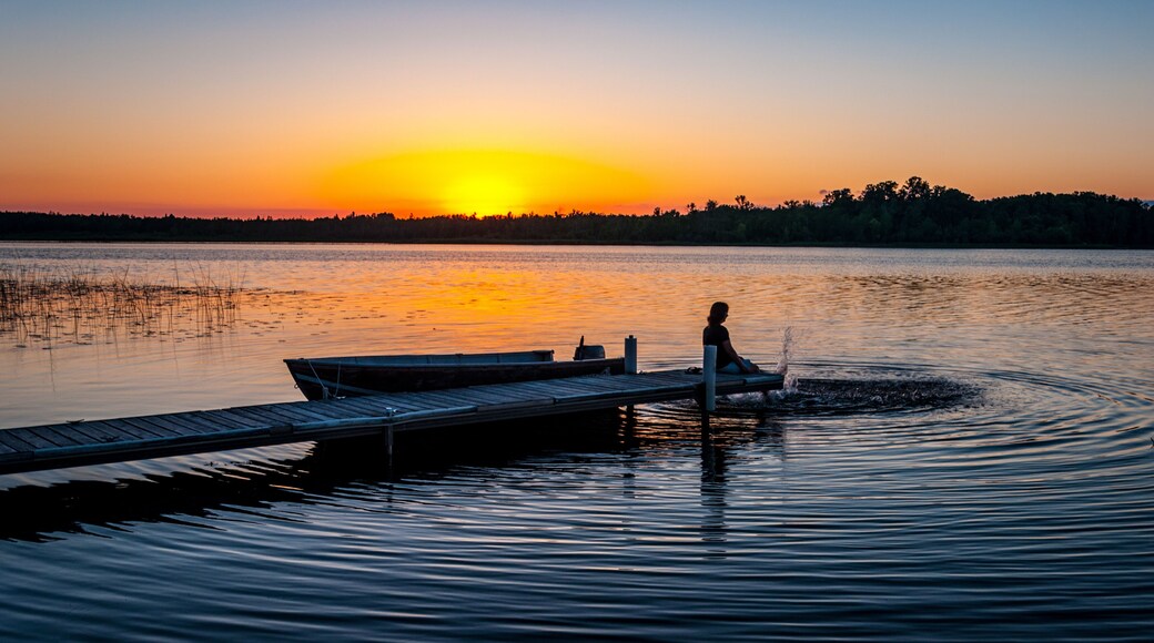 ลองวิลล์