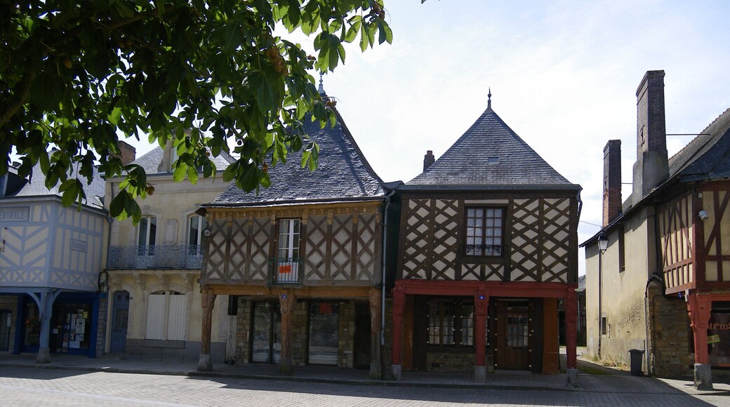 maisons de la guerche de bretagne