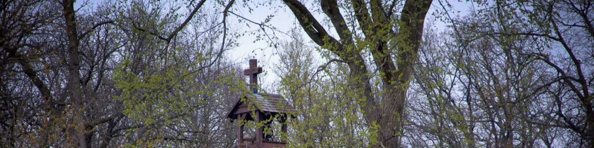 Ducks and more ducks in the trees and on the water and lots of land to explore.