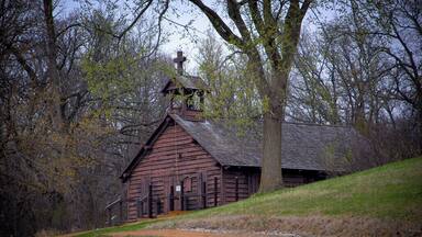 Ducks and more ducks in the trees and on the water and lots of land to explore.