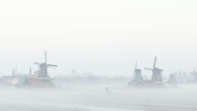 Zaanse Schans windmills in the mist Netherlands Holland
