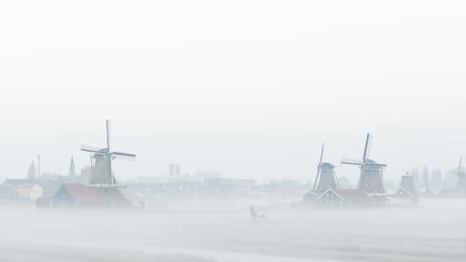 Zaanse Schans windmills in the mist Netherlands Holland