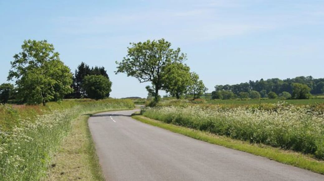 Country road, Lincolnshire. Halfway between Sedgebrook and Denton.