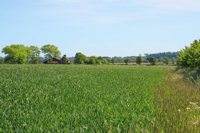 Farmland near Sedgebrook, Lincolnshire. Looking towards Coe Farm