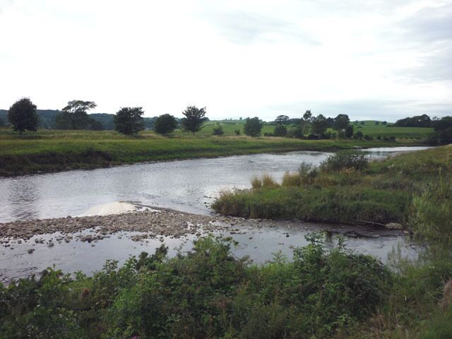 A river with a rocky bank and surrounding greenery.