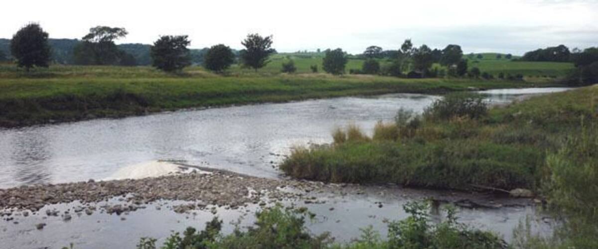 A river with a rocky bank and surrounding greenery.