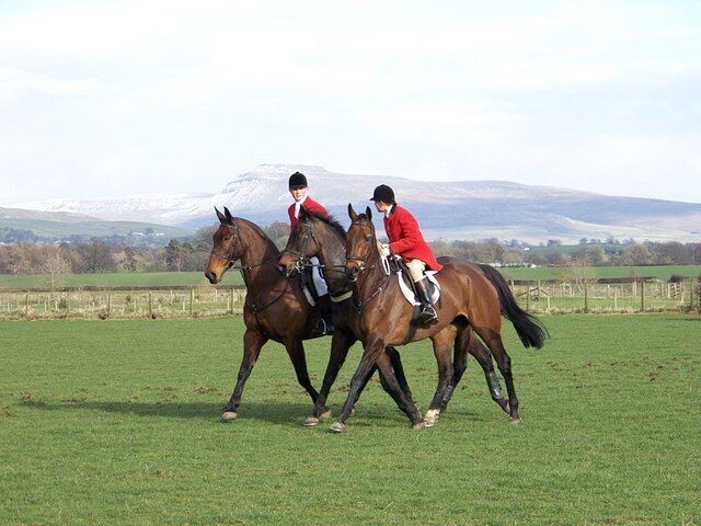 Huntsmen retrieve racehorse