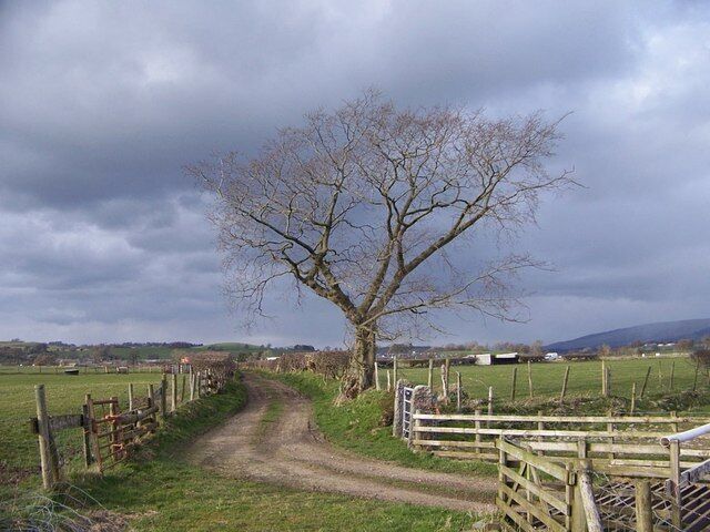 Bridleway from River Lune to Whittington The land on the right is part of Whittington estate and used for a point to point at Easter