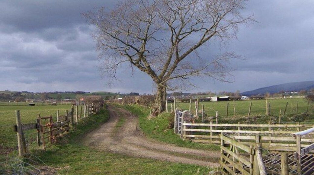 Bridleway from River Lune to Whittington The land on the right is part of Whittington estate and used for a point to point at Easter