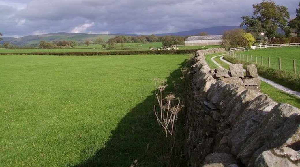 Looking towards Johnson House