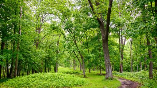 Effigy Mounds National Monument