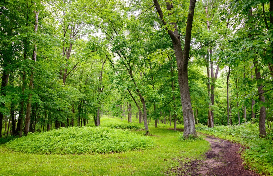 Effigy Mounds National Monument
