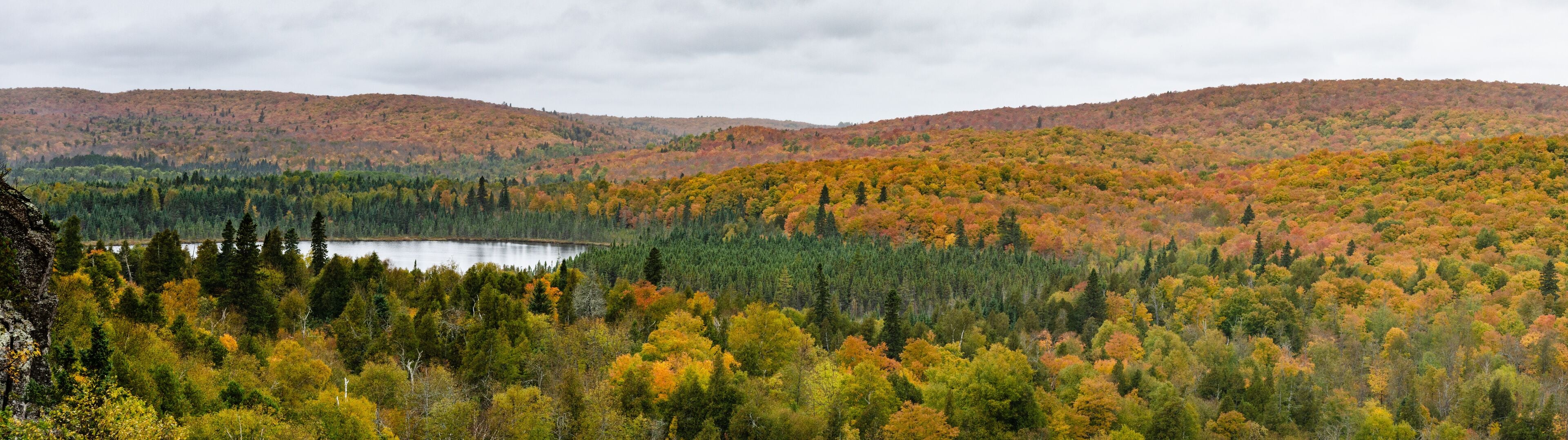Fall Foliage Panorama Landscape Oberg Mountain Minnesota