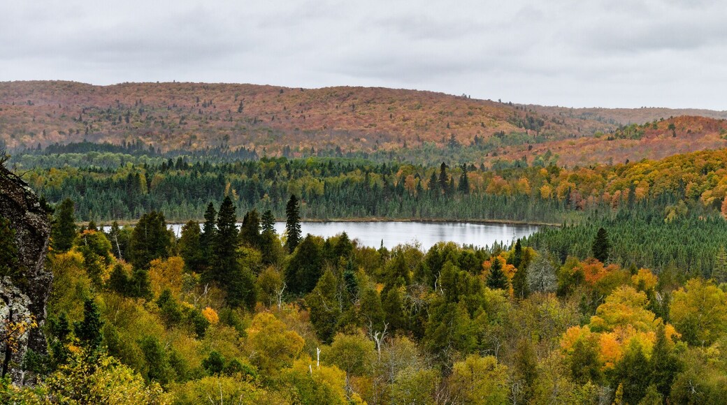 Fall Foliage Panorama Landscape Oberg Mountain Minnesota