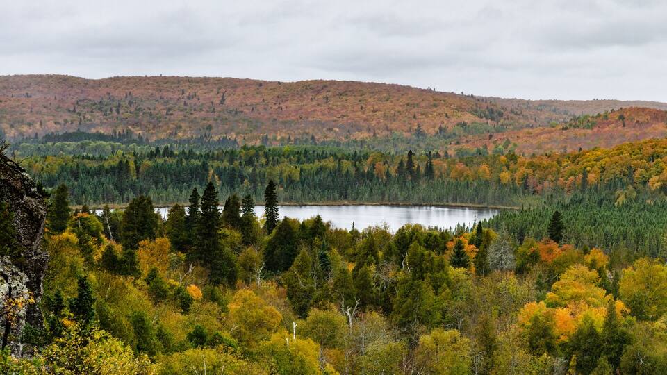 Fall Foliage Panorama Landscape Oberg Mountain Minnesota