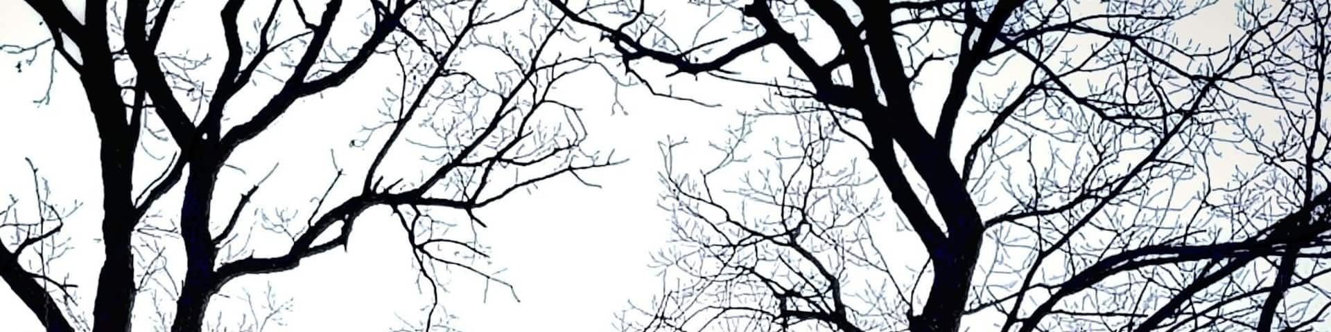 Mt. Tom observation tower at Sibley State Park. Feb. 2018. #mnstateparks