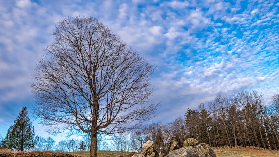 Late Fall in New London