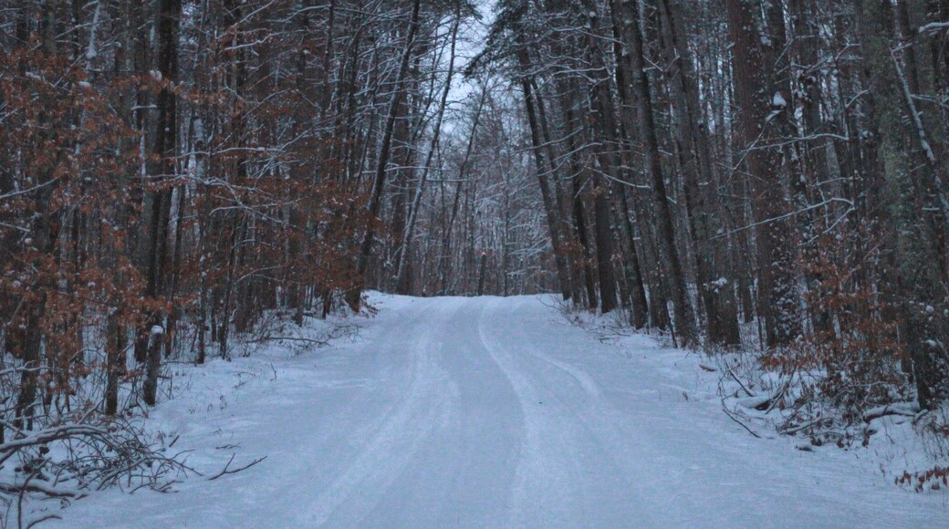 Hiking in the Lost 40 area of MN. Fresh snowfall was great but the lighting was a challenge.