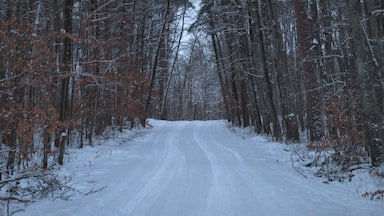 Hiking in the Lost 40 area of MN. Fresh snowfall was great but the lighting was a challenge.