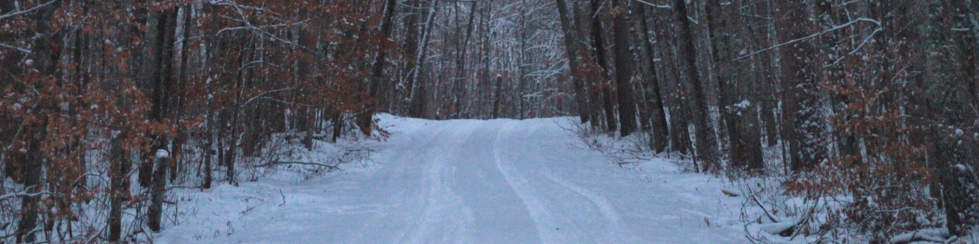 Hiking in the Lost 40 area of MN.  Fresh snowfall was great but the lighting was a challenge.