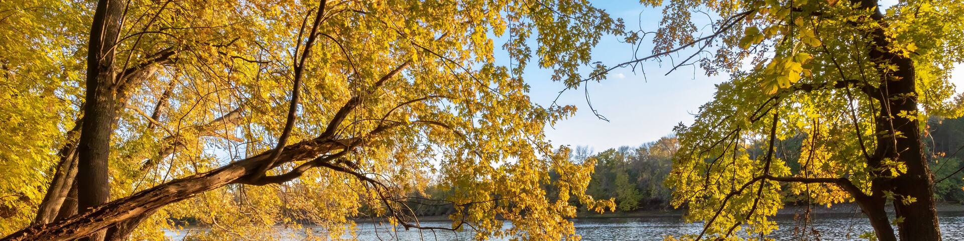 Mississippi River Fall Colors at Riverview Heights Park in Fridley Minnesota