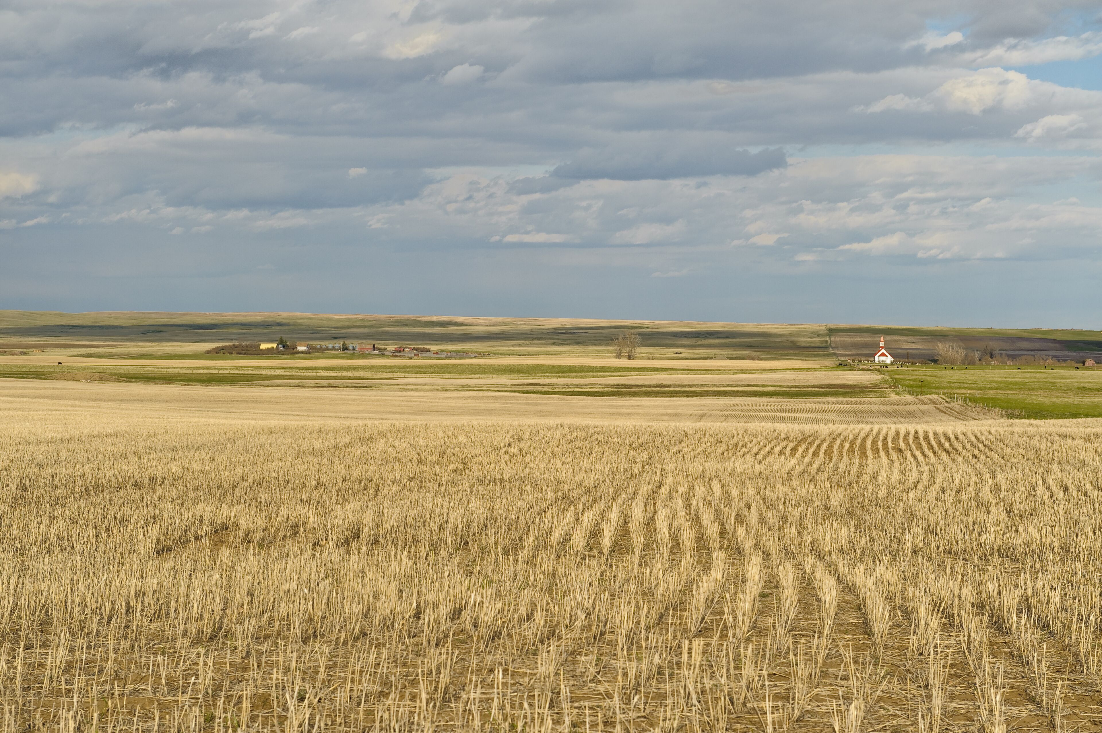 A vast wheat field with a small white church in the distance under a cloudy sky.