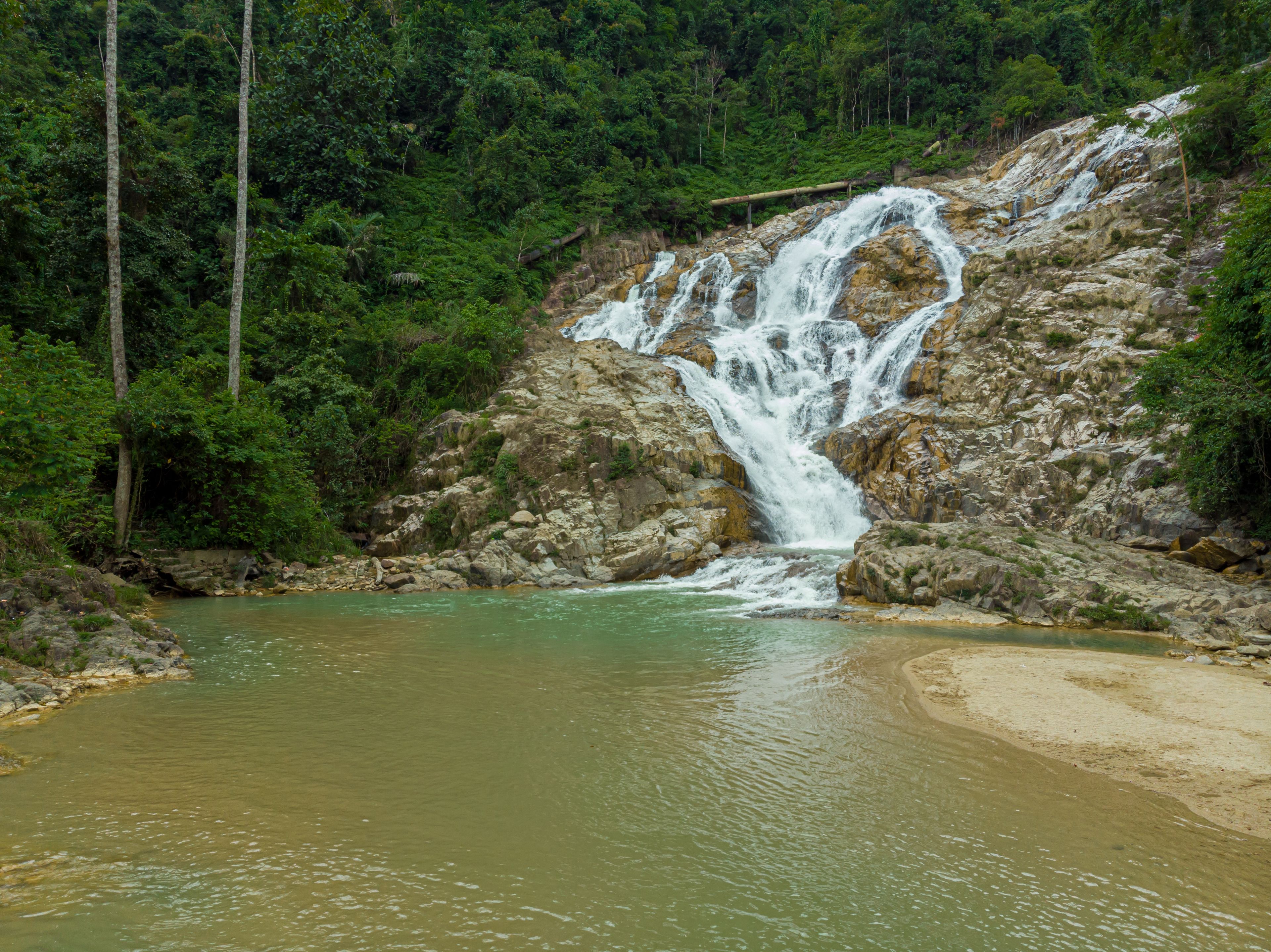 Uma cascata deságua em um rio, cercado por uma floresta densa.