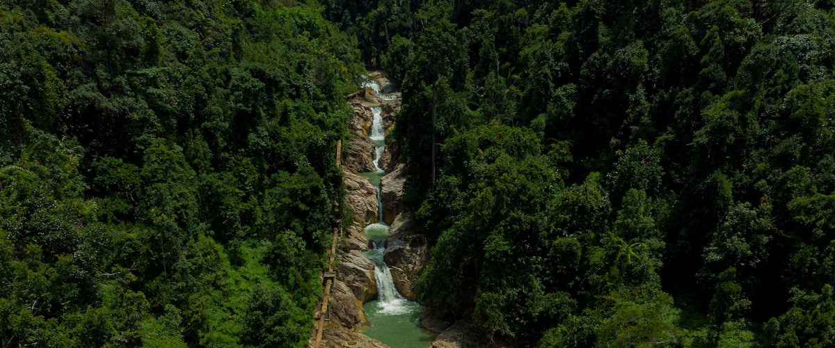 Una cascada se precipita por un risco rocoso rodeado de un bosque verde y frondoso.