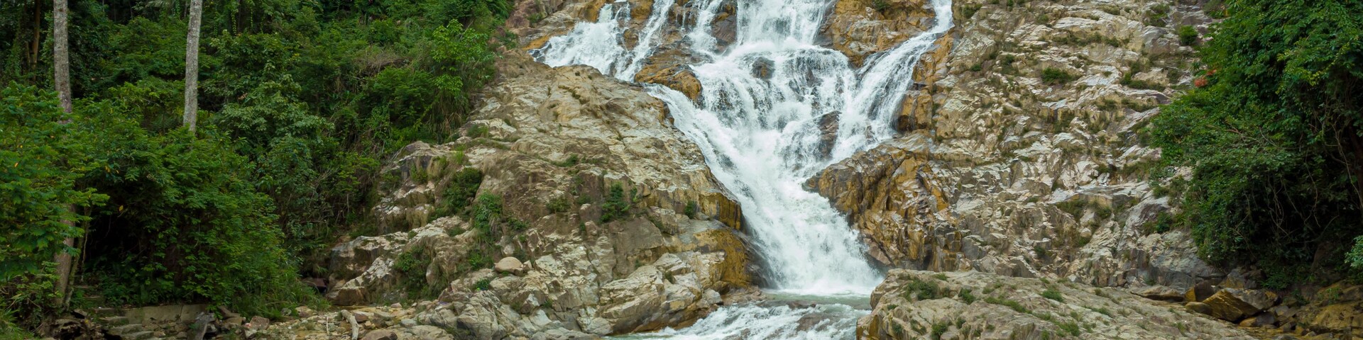 A waterfall cascading into a river surrounded by dense forest.