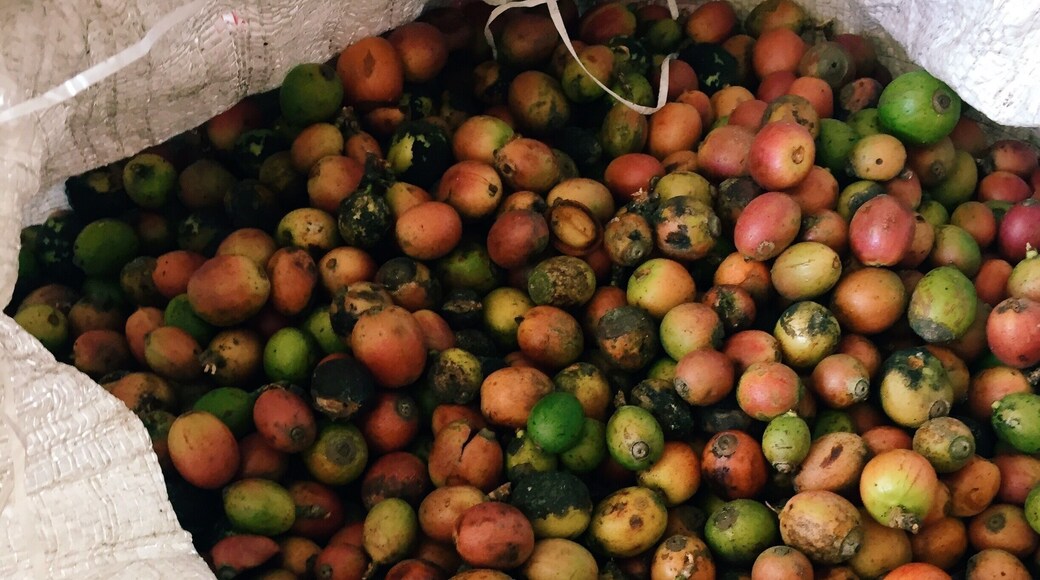 Witness how coffee is produce from berries at this traditional backyard factory. Go around 10-12pm if you want to have a go at roasting coffee the traditional way. Remember to buy some home :)